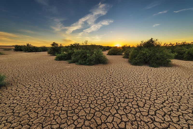 Desert