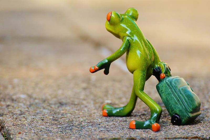 Travel Insurance